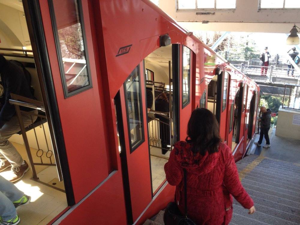 12909490_10208139161533062_32619951089626692_o