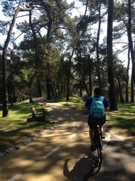 18076926_10211745356165674_7121984510547183796_o