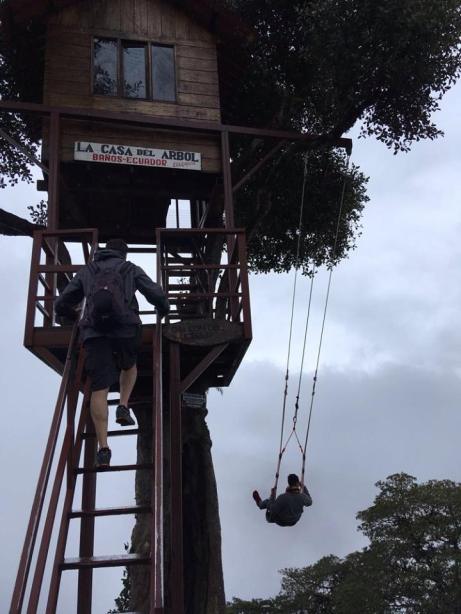 27. La Casa del Árbol