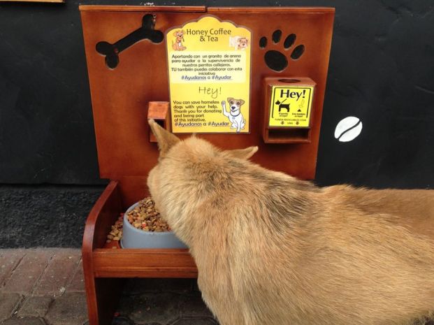 29. Puesto de comida para perros en Baños de Agua Santa