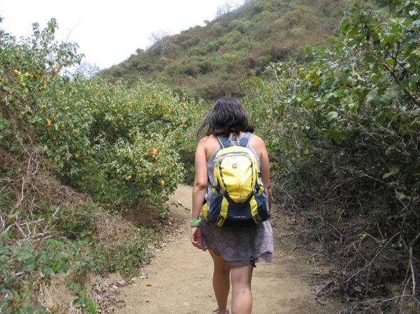 47. Excursión por la Isla de la Plata