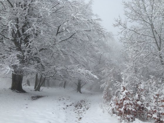 29872536_10214790284726985_8015754141997077329_o