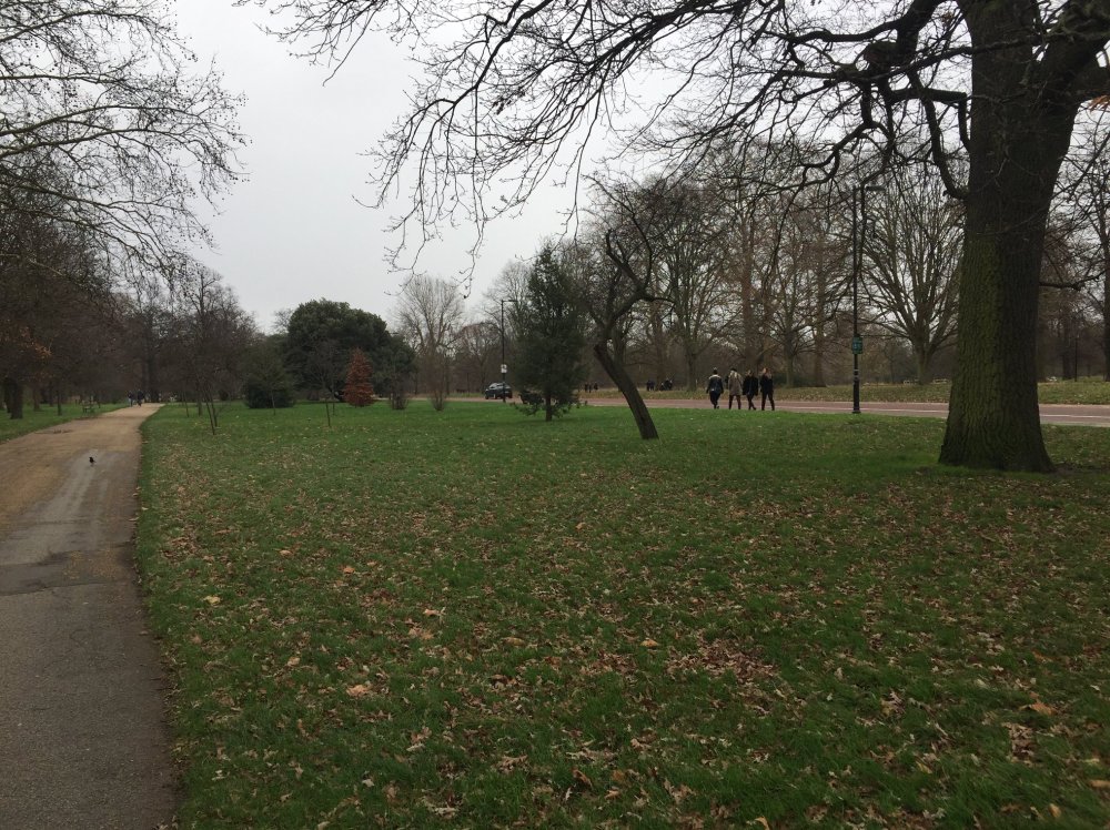 48366732_10216640405858857_4104272307130728448_o