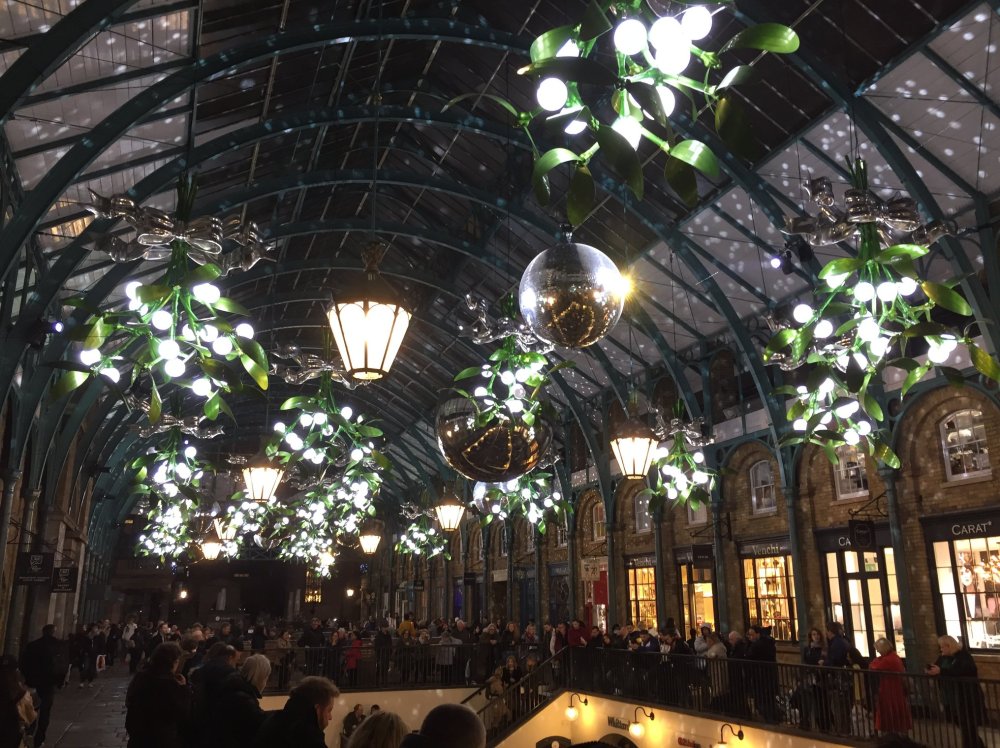 48366732_10216640405858857_4104272307130728448_o