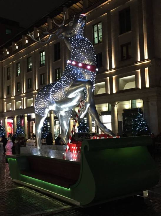 48366732_10216640405858857_4104272307130728448_o