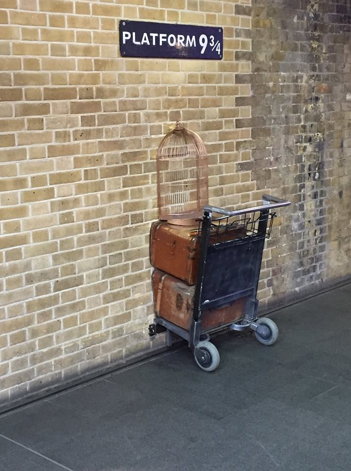 48366732_10216640405858857_4104272307130728448_o